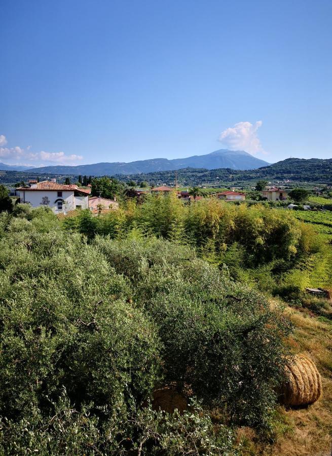 Appartamenti Bellini Bardolino Exterior photo